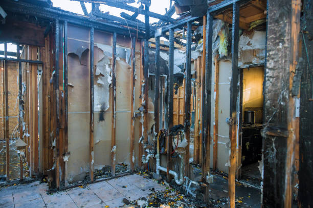 Professional Soot Cleanup technician working in Paris, IL
